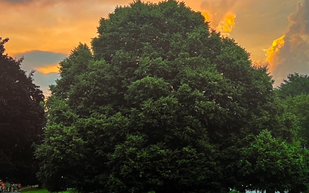 October 2024: The Sci-Tech Alumni Newsletter